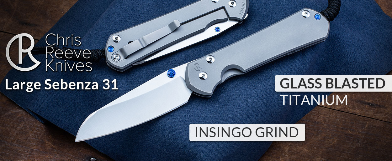 https://www.knivesshipfree.com/product_images/uploaded_images/chris-reeve-large-sebenza-31-insingo-glass-blasted.jpg
